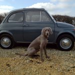 Darren Turner Fiat 500