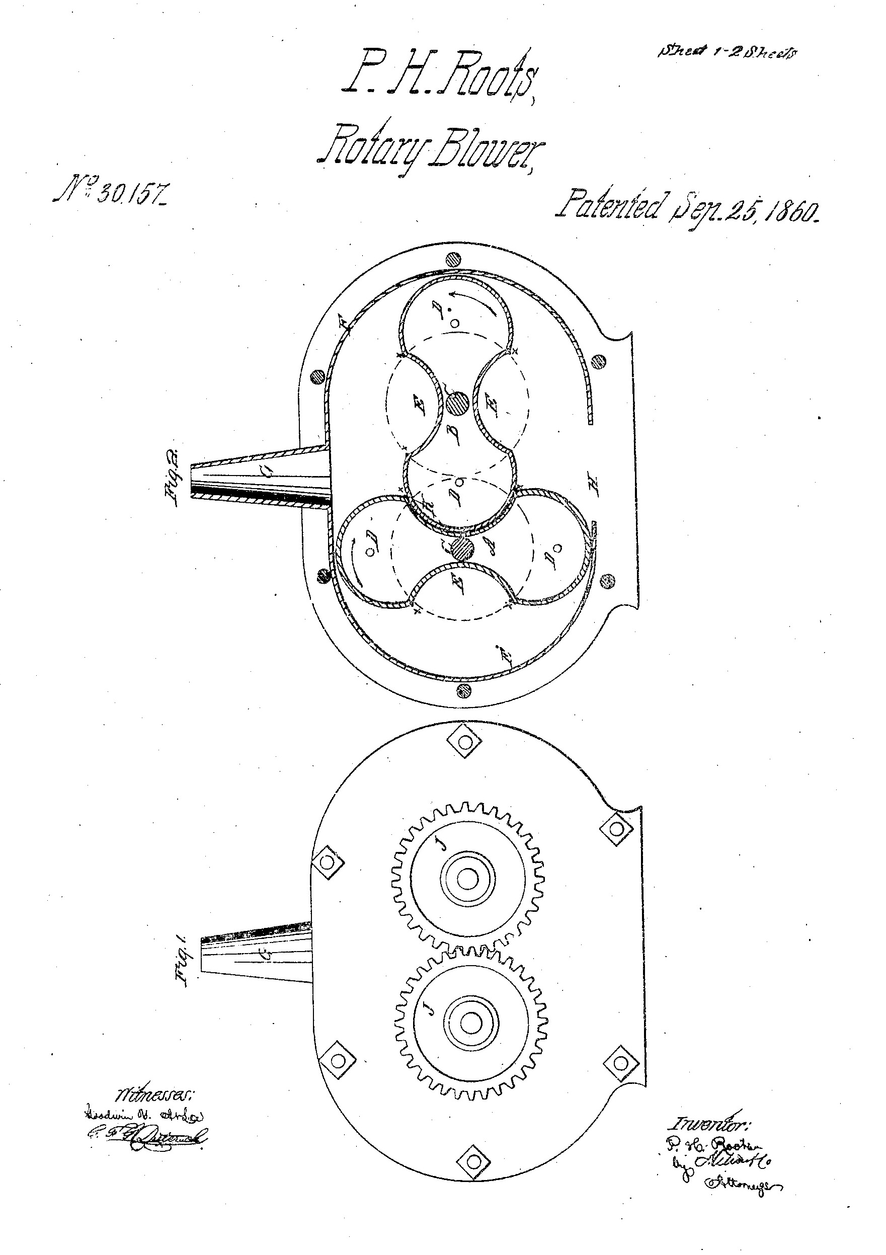 Roots patent