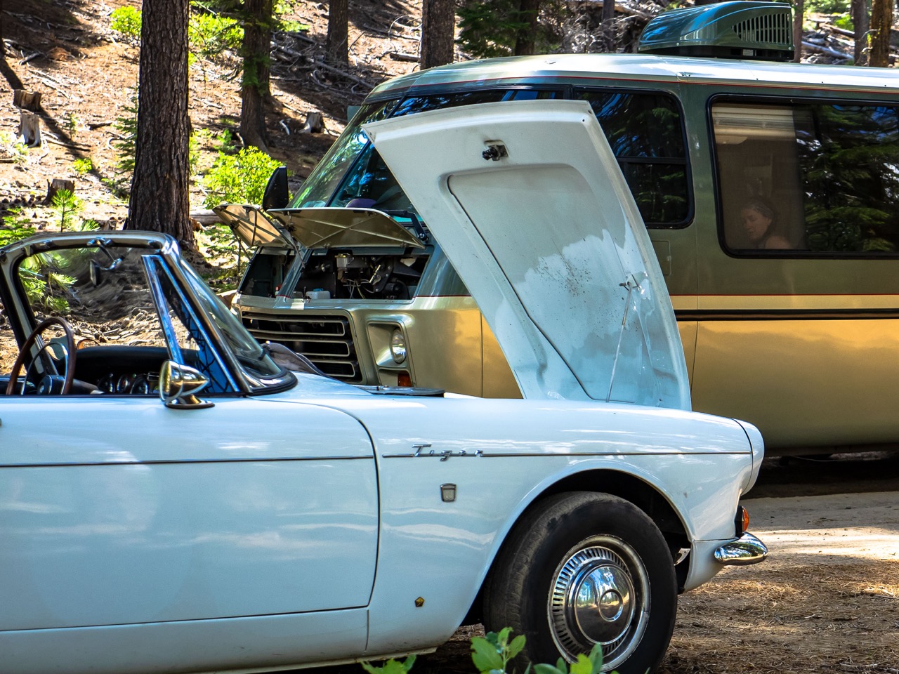 Sunbeam Tiger