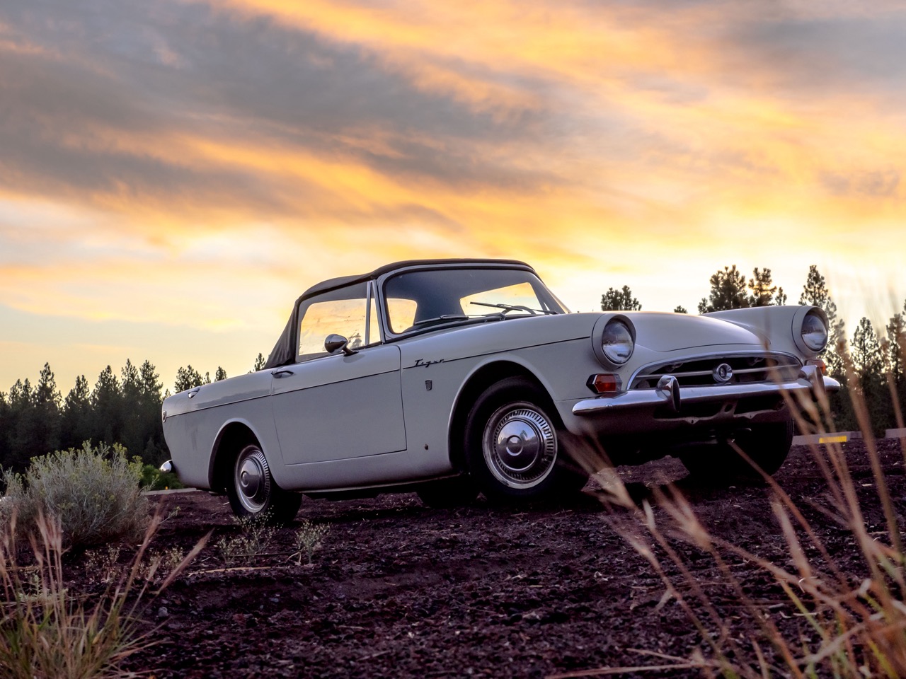 Sunbeam Tiger