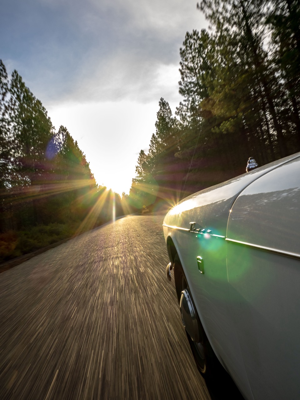 Sunbeam Tiger