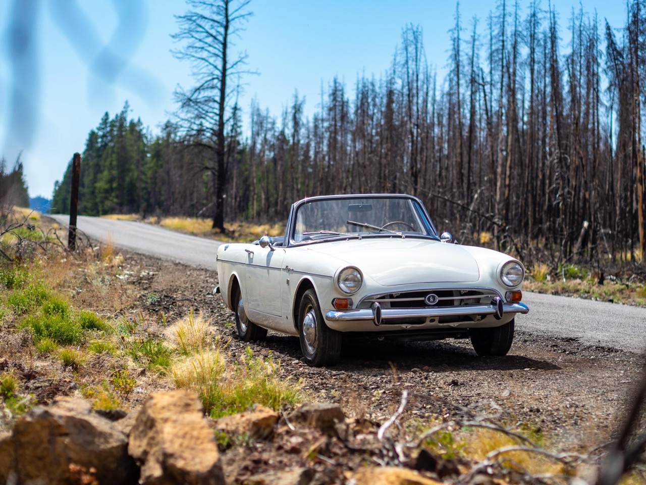 Sunbeam Tiger