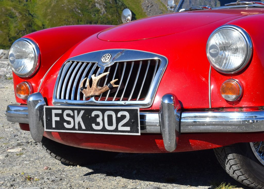 1960 MGA grille reindeer anter