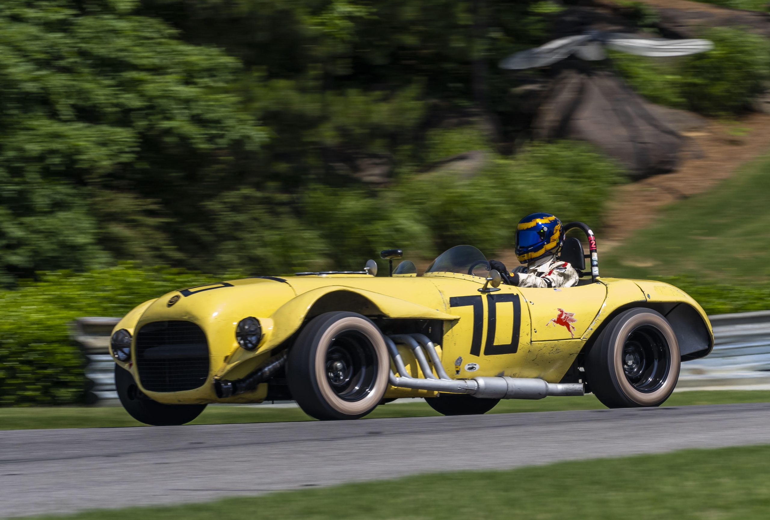 Old Yeller II Has Always Been One Fast Mutt