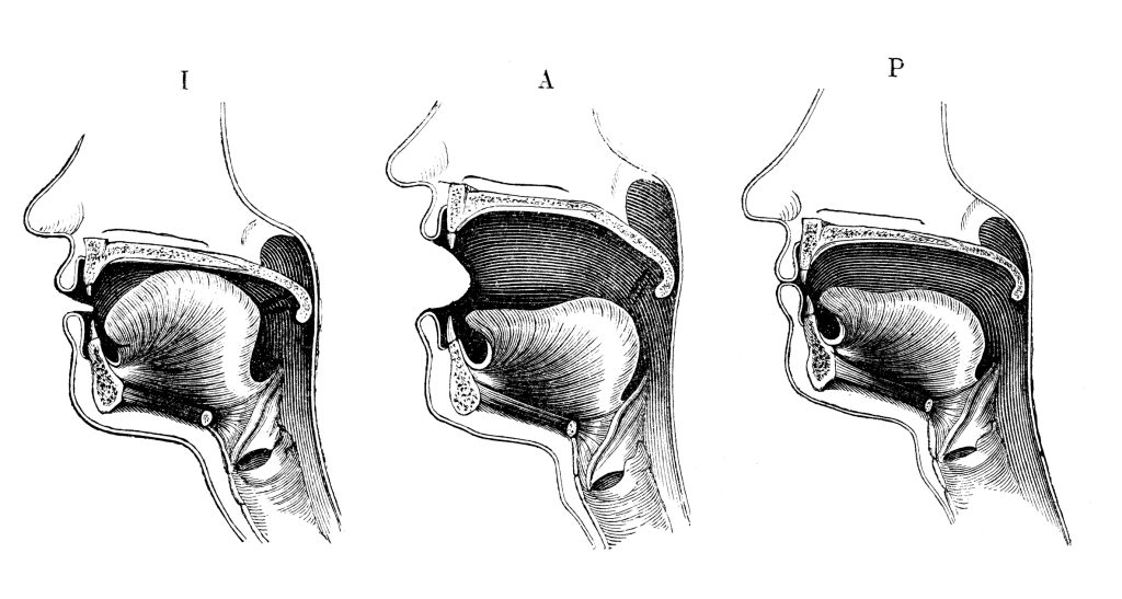 Antique medical scientific illustration mouth positions