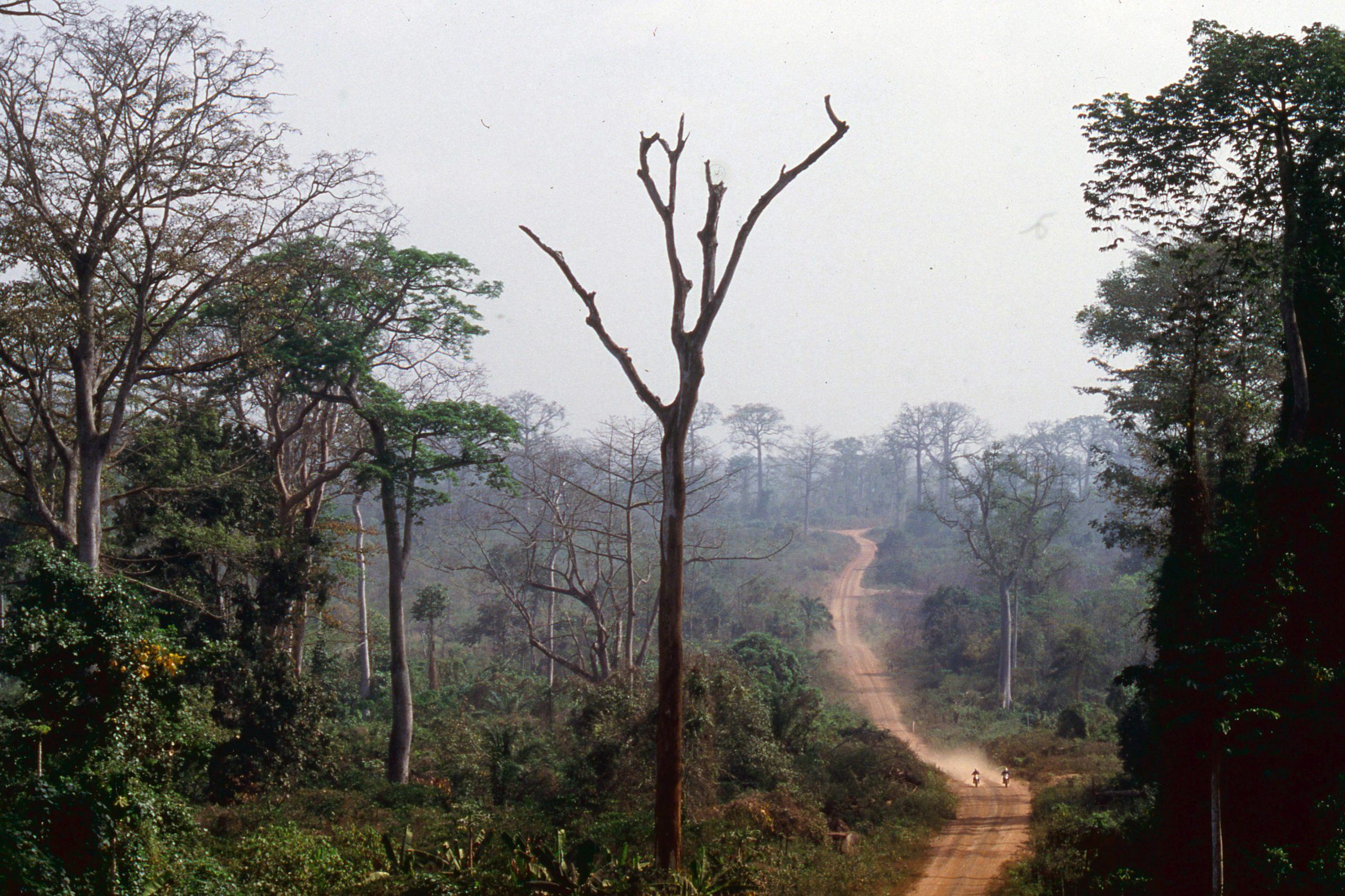 Dakar race terrain