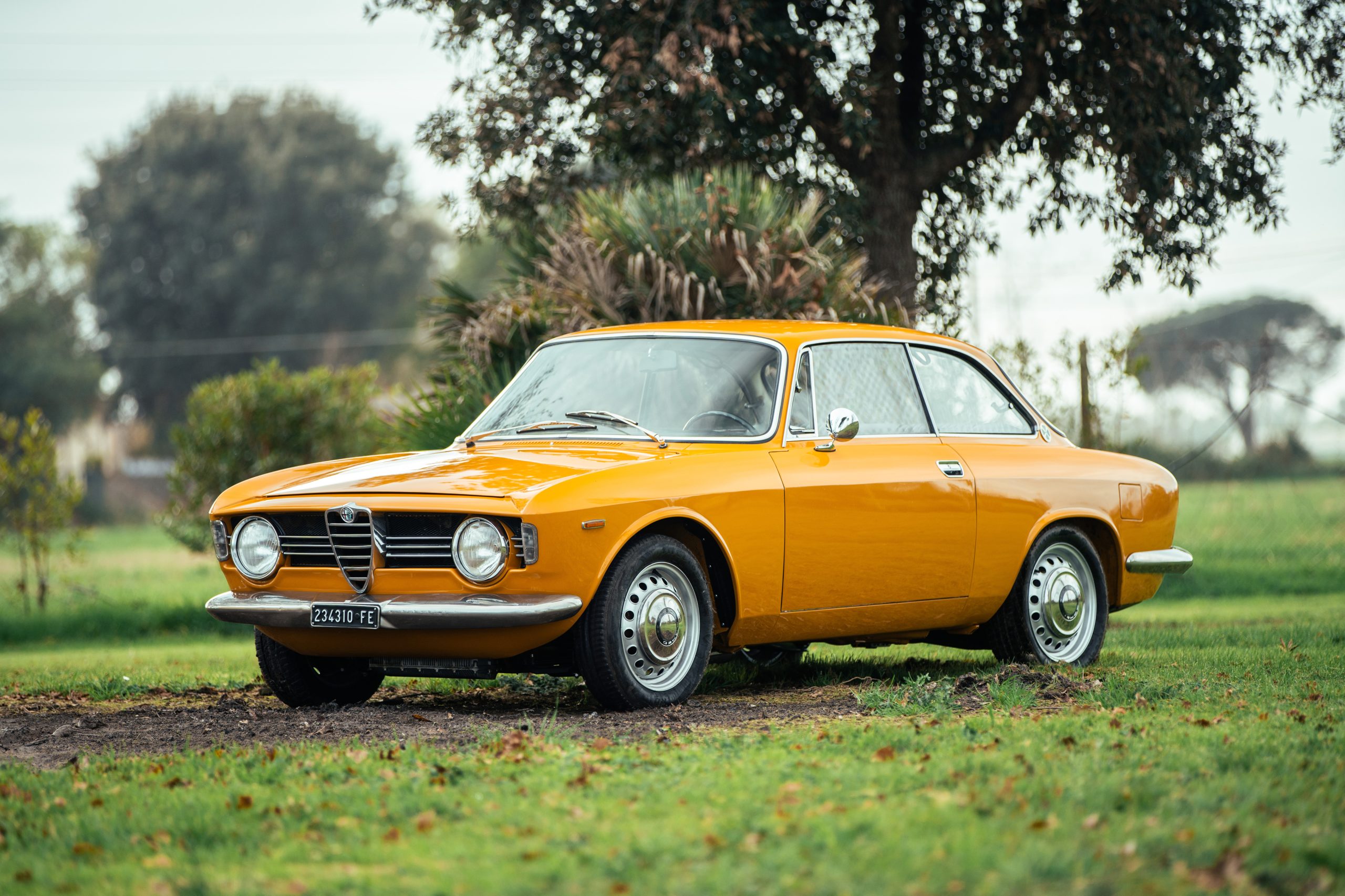 Alfa 105 Coupe