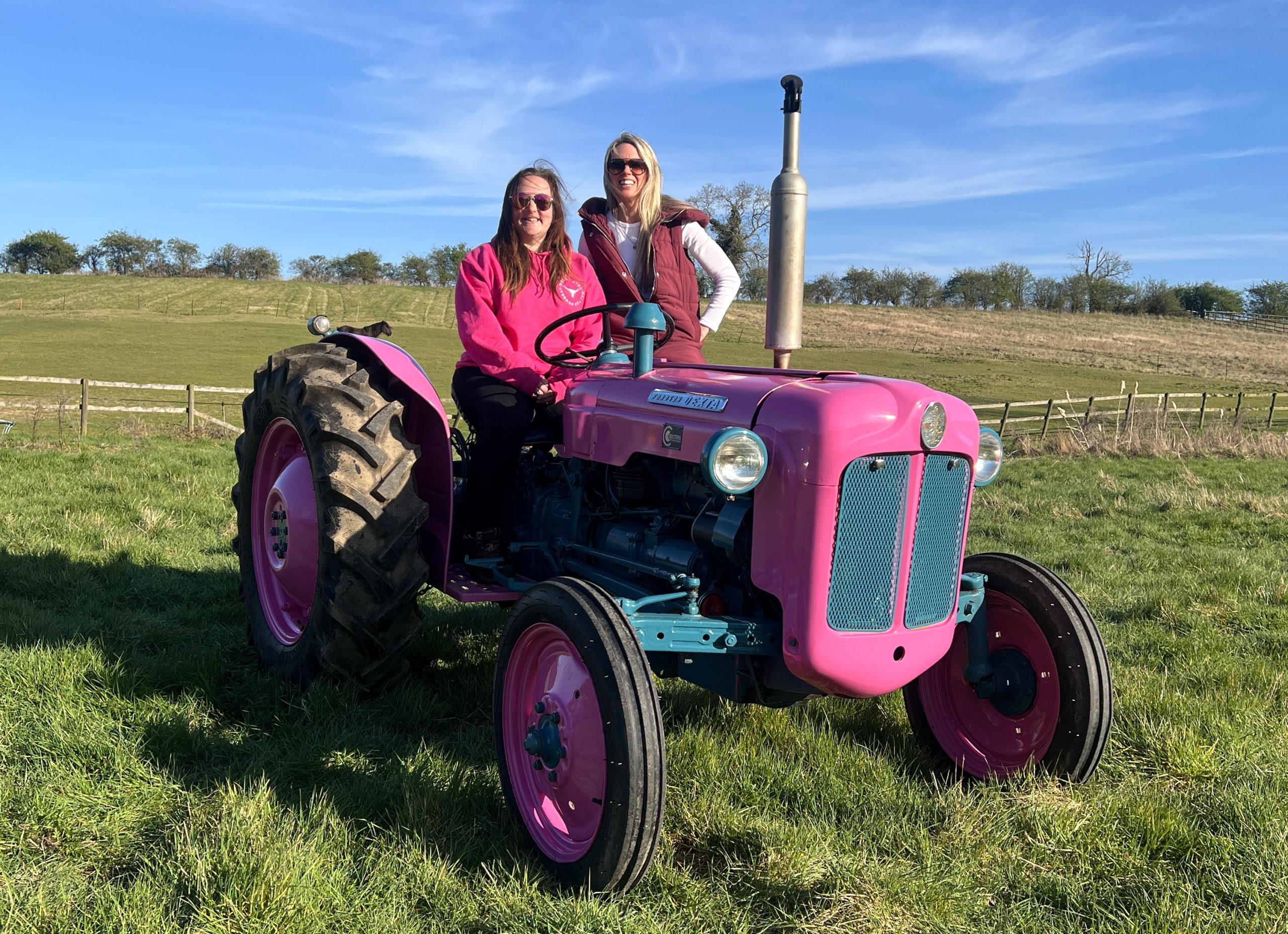 Let this Little Pink Tractor be a Lesson to Us All