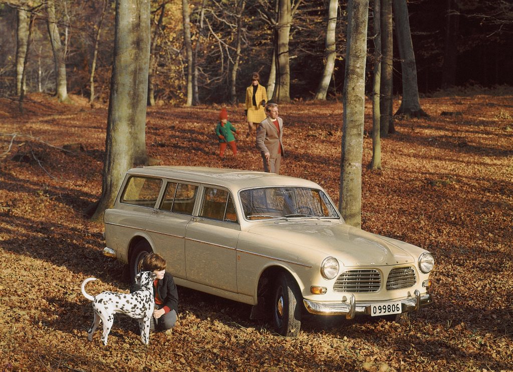 Volvo P220 Amazon in woodland