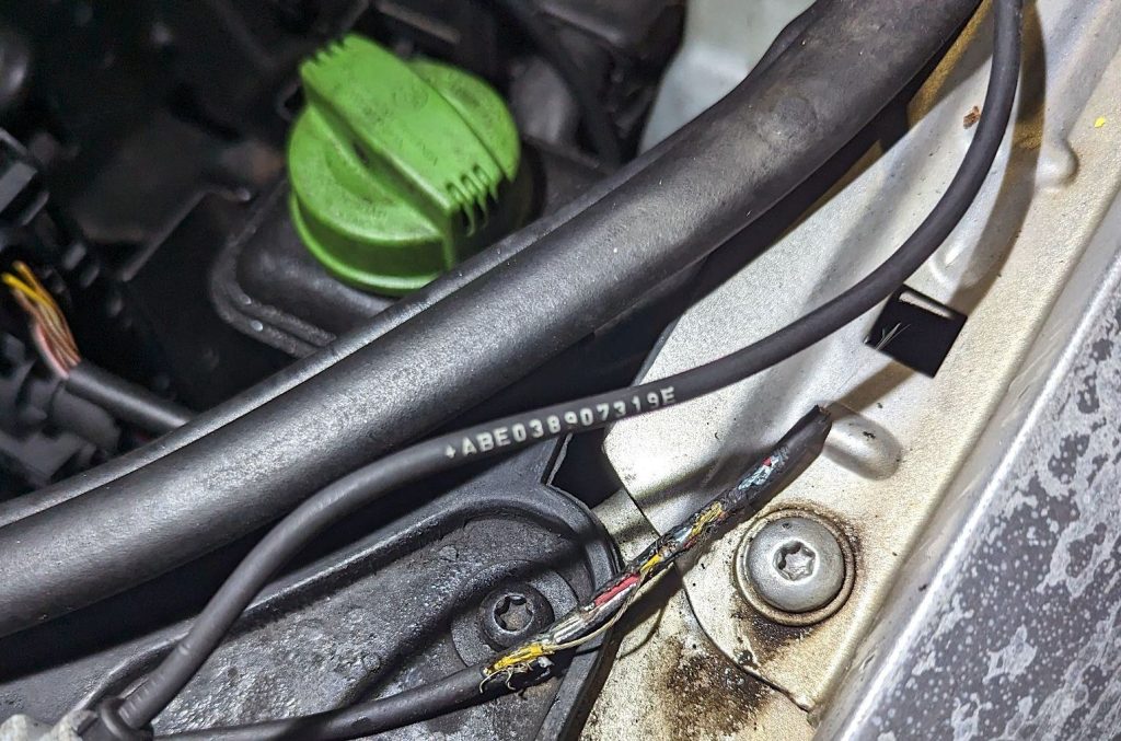 Damaged classic car wiring with chew marks as a result of rodent damage