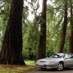 Subaru SVX parked in woodland
