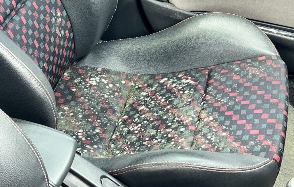 Interior of a car covered in mould