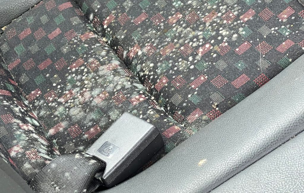 Interior of a car covered in mould