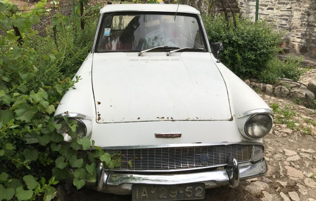A white Ford Anglia105E classic car in a weathered or "barn-find" condition, parked outdoors on a cobbled or stony path surrounded by green foliage