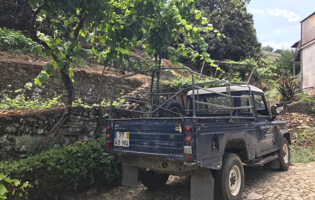 A blue Land Rover Defender 110 pickup truck with a rear roll cage