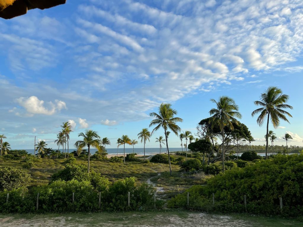 Picture of beach