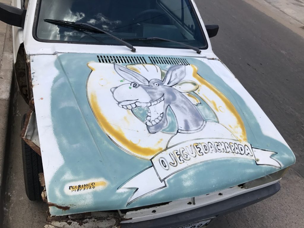 Car bonnent